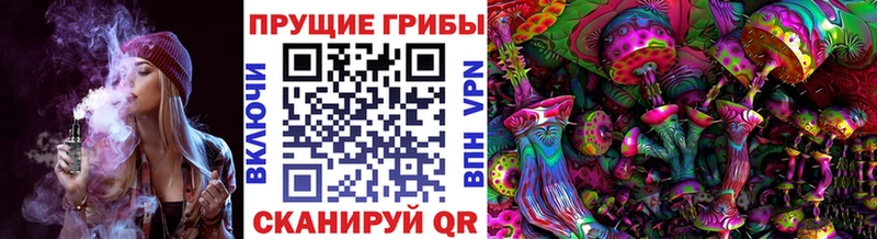 Псилоцибиновые грибы GOLDEN TEACHER Купить Кирсанов